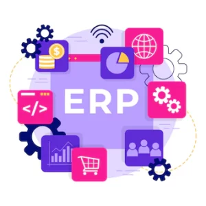 vision erp