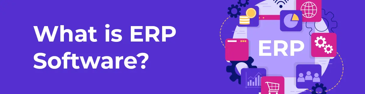 What is ERP Software